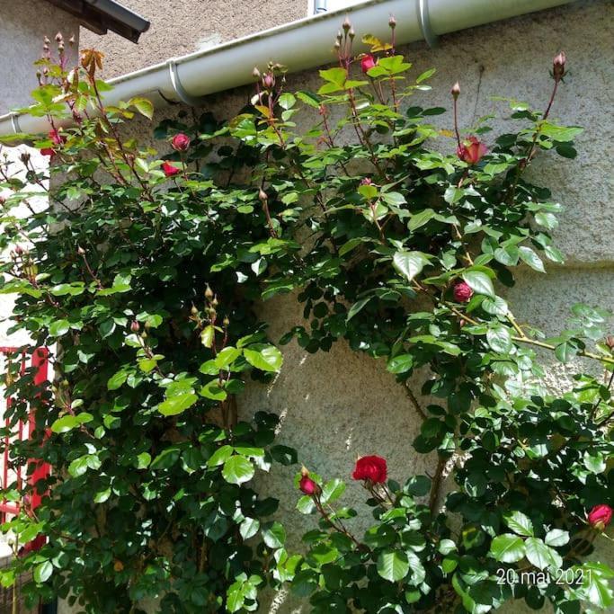 Maison Aux Portes Du Centre Historique De Dijon Avec 3 Chambres Et Garage Exteriér fotografie