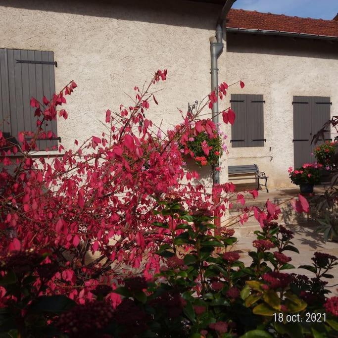 Maison Aux Portes Du Centre Historique De Dijon Avec 3 Chambres Et Garage Exteriér fotografie
